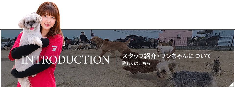 bnr_introduction_off